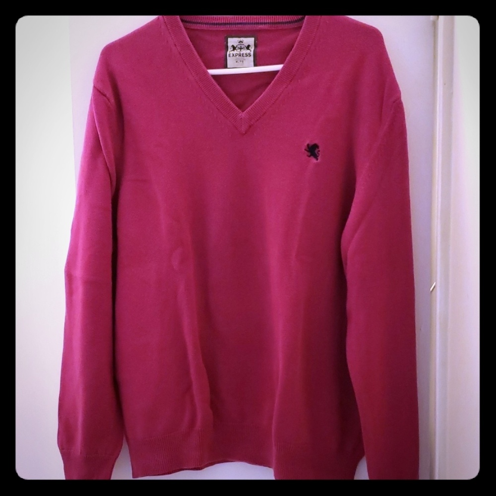 Express Hot pink sweater